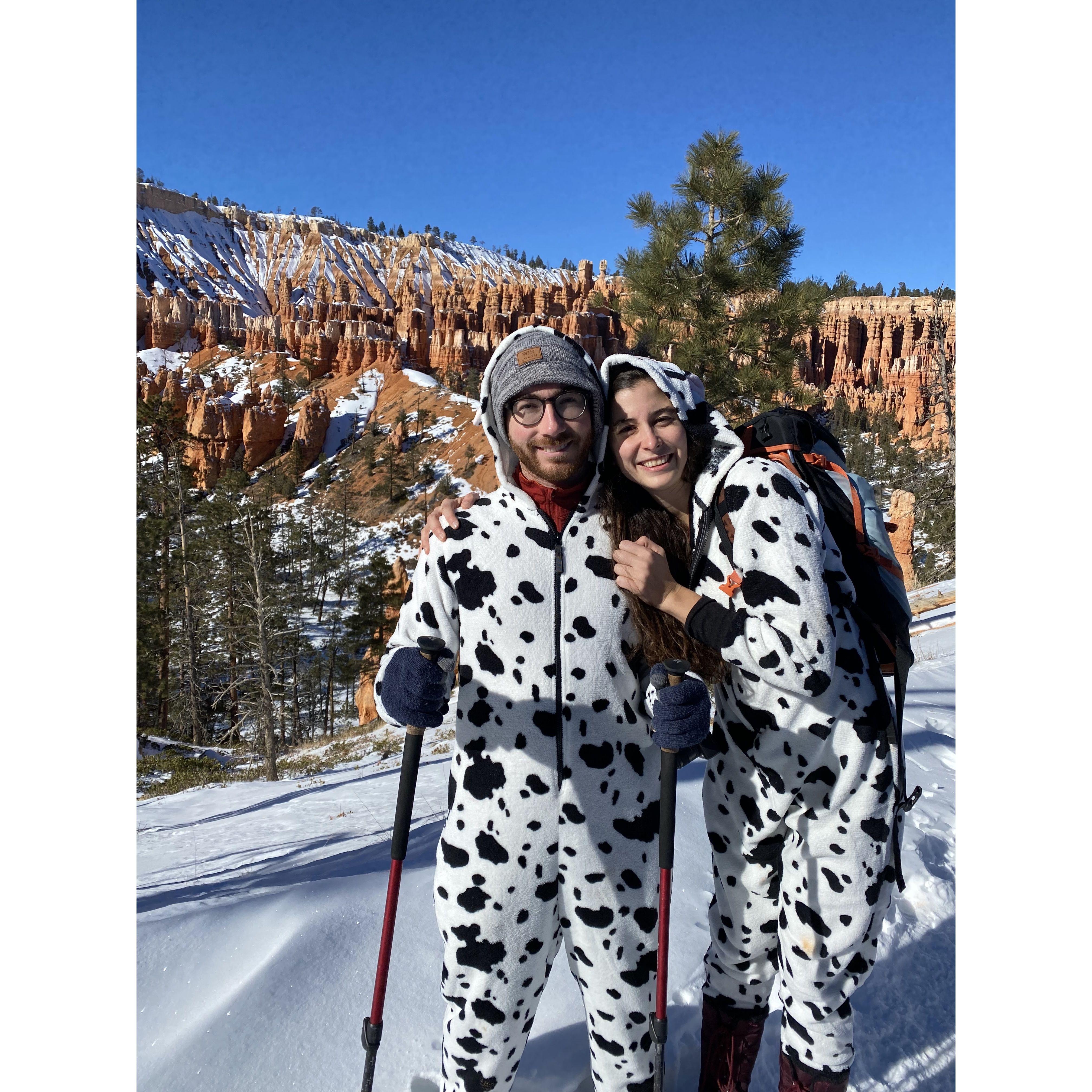 Cows in Bryce Canyon