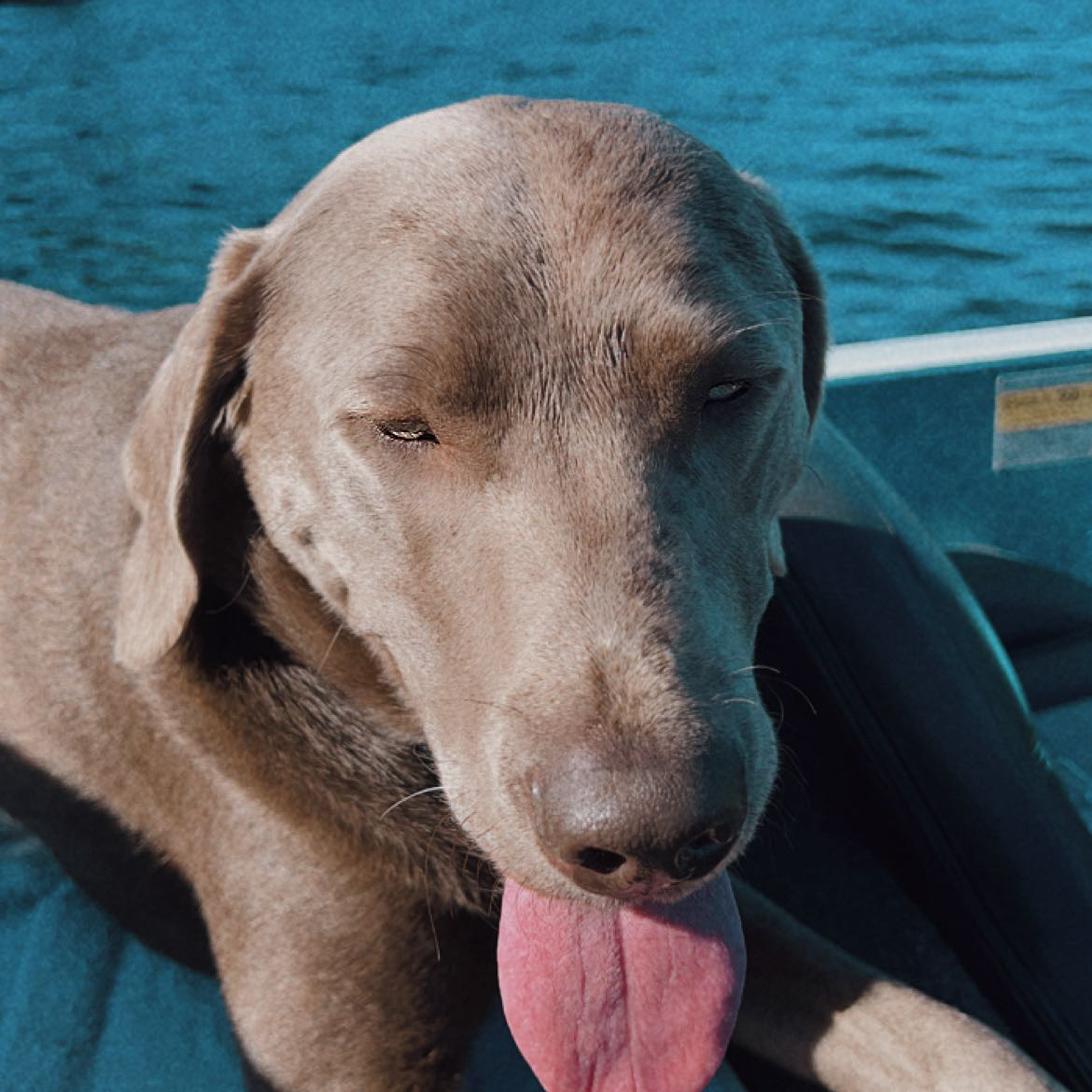 Otis