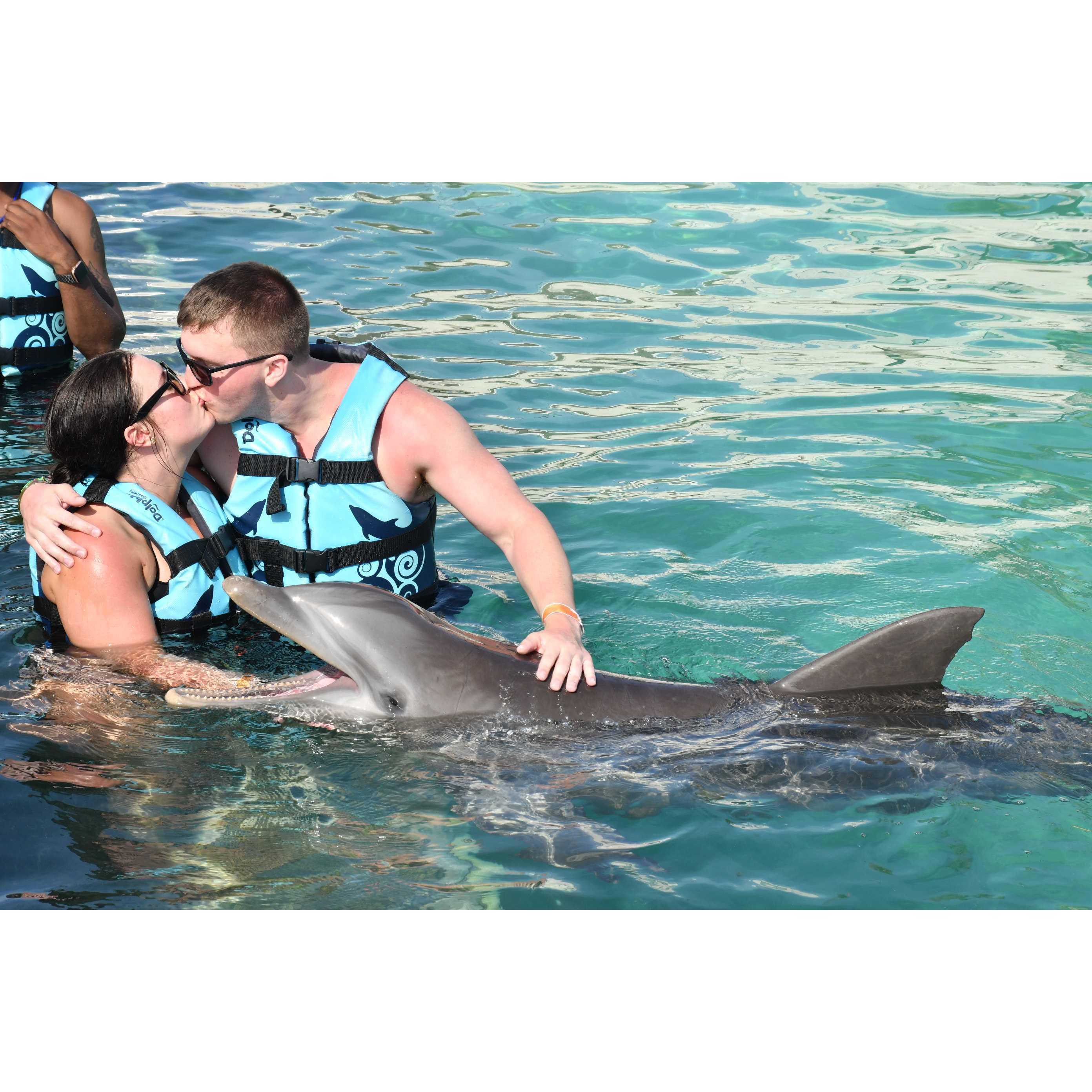 Swimming with the dolphins in Cancun, May of 2022.