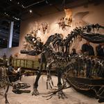 Natural History Museum of Utah