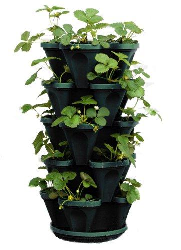 Mr. Stacky 1305-HG 5-Tier Stackable Strawberry, Herb, Flower, & Vegetable Planter - Vertical Gardening Indoor/Outdoor Stacking Garden Pots