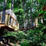 Museum of Life and Science