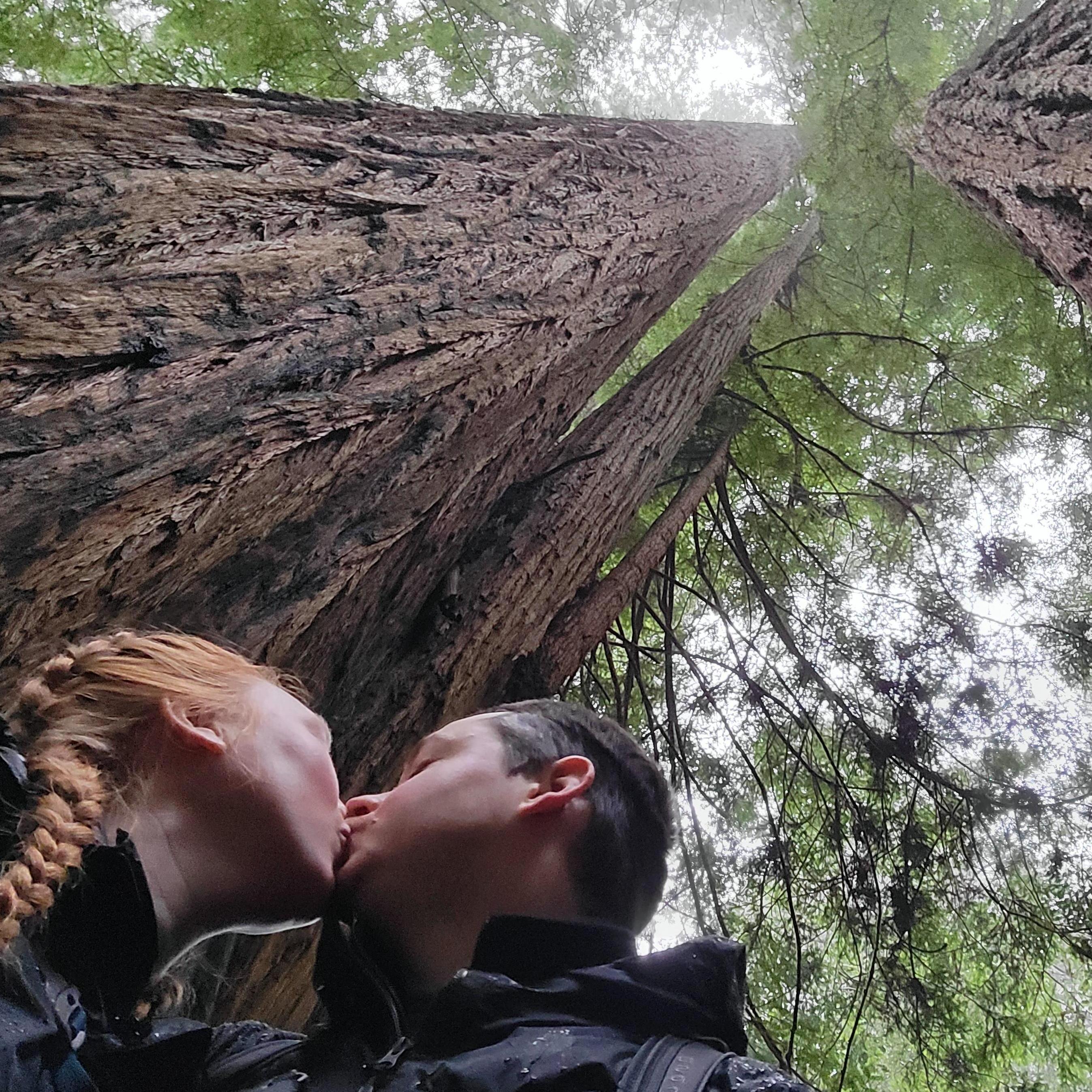 Love under the redwoods!