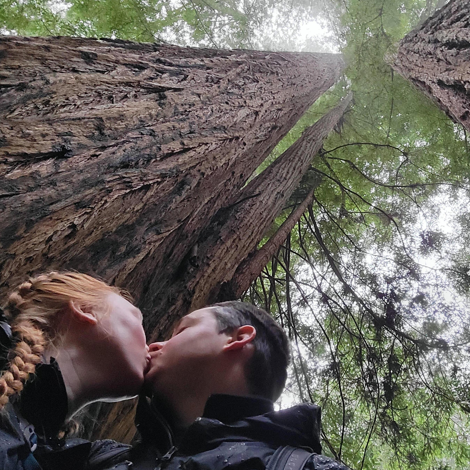 Love under the redwoods!