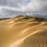 Jockey's Ridge State Park