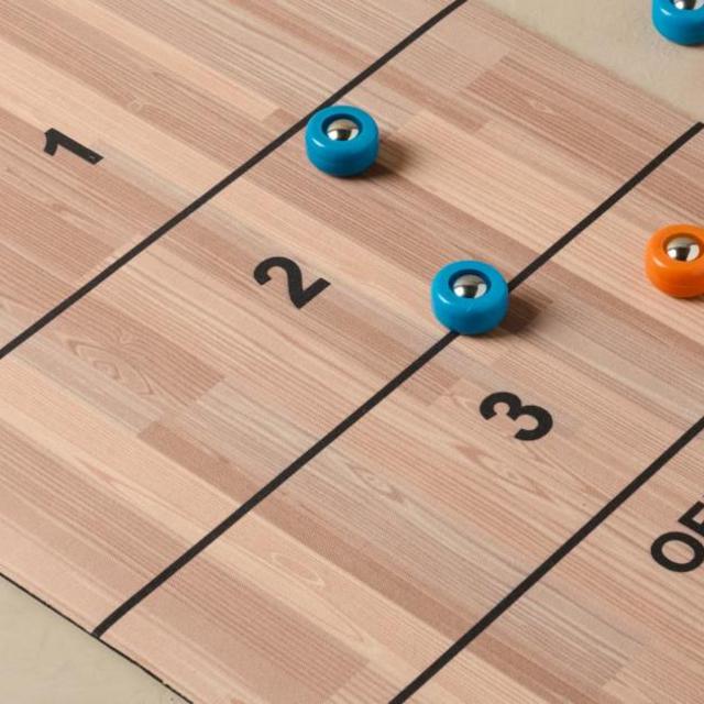 Roll-up Shuffleboard