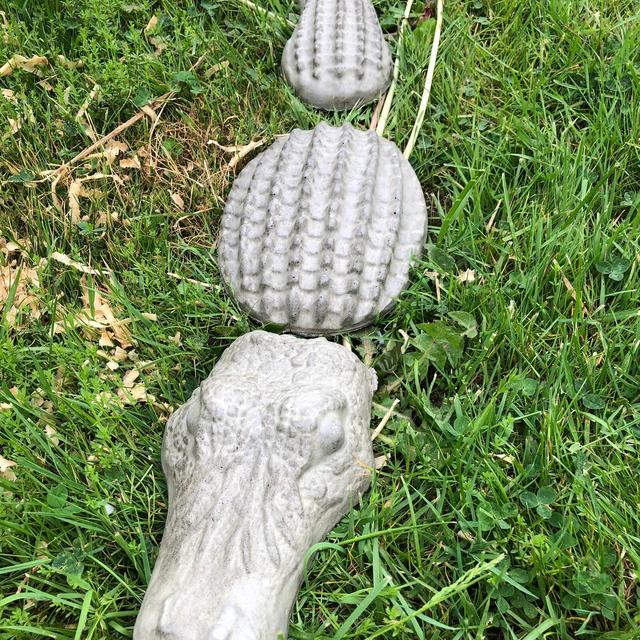 Concrete Alligator Statue: 24" Garden Decor