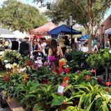 Saturday Farmers' Market