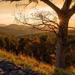 Shenandoah National Park