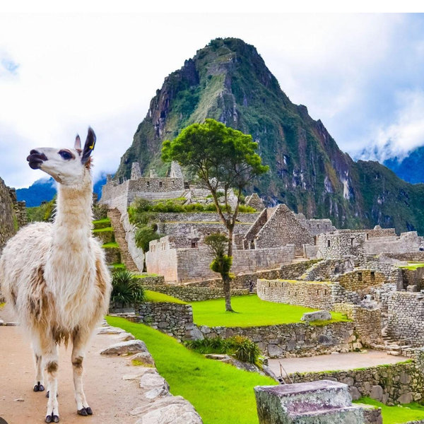 Honeymoon Fund (Lima/Cusco/Machu Picchu)