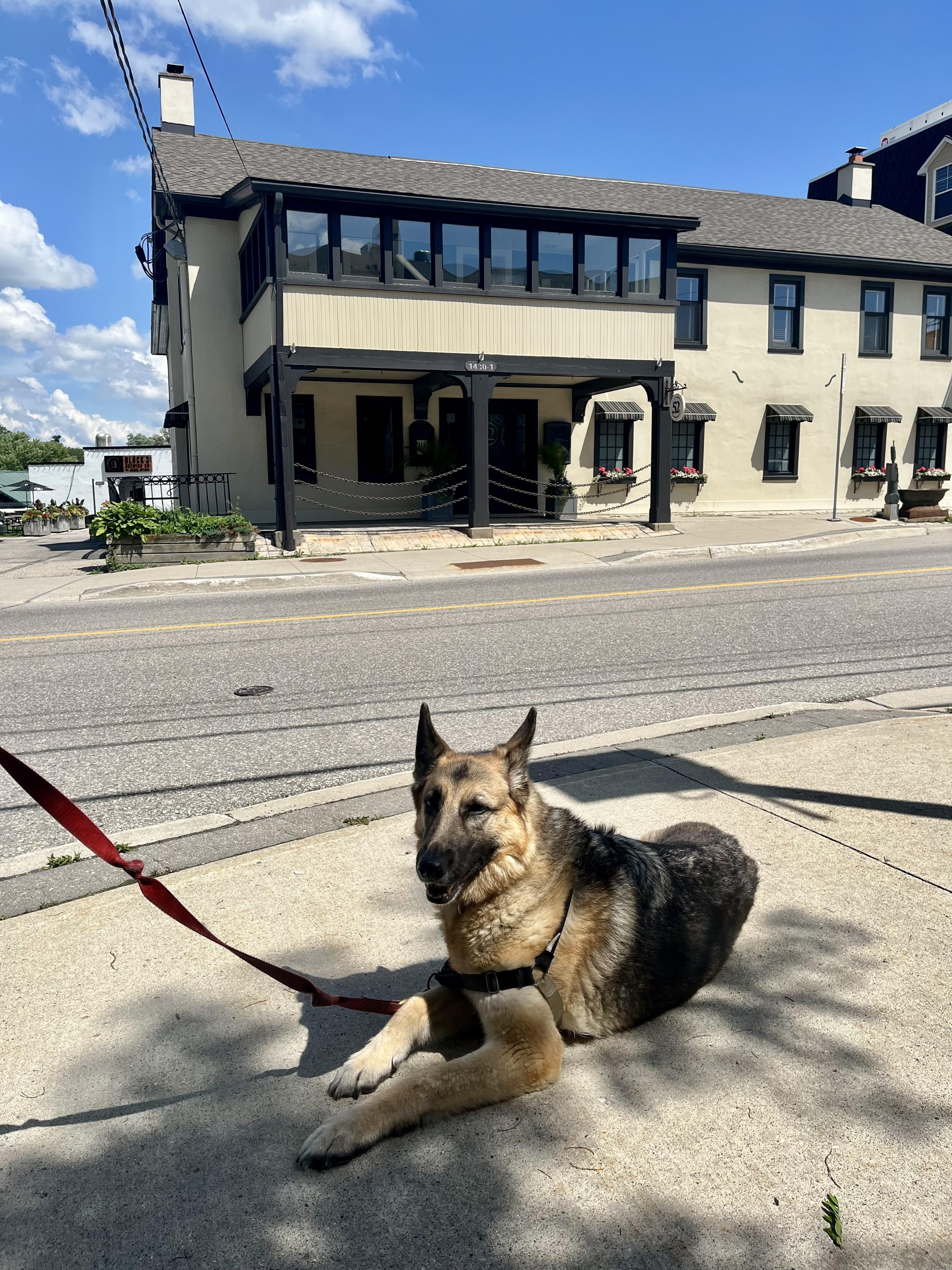 The Wedding Website of Brianna Stewart and Alexander MacLean