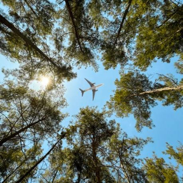 Round Trip Plane Tickets