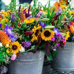 Mill City Farmers Market