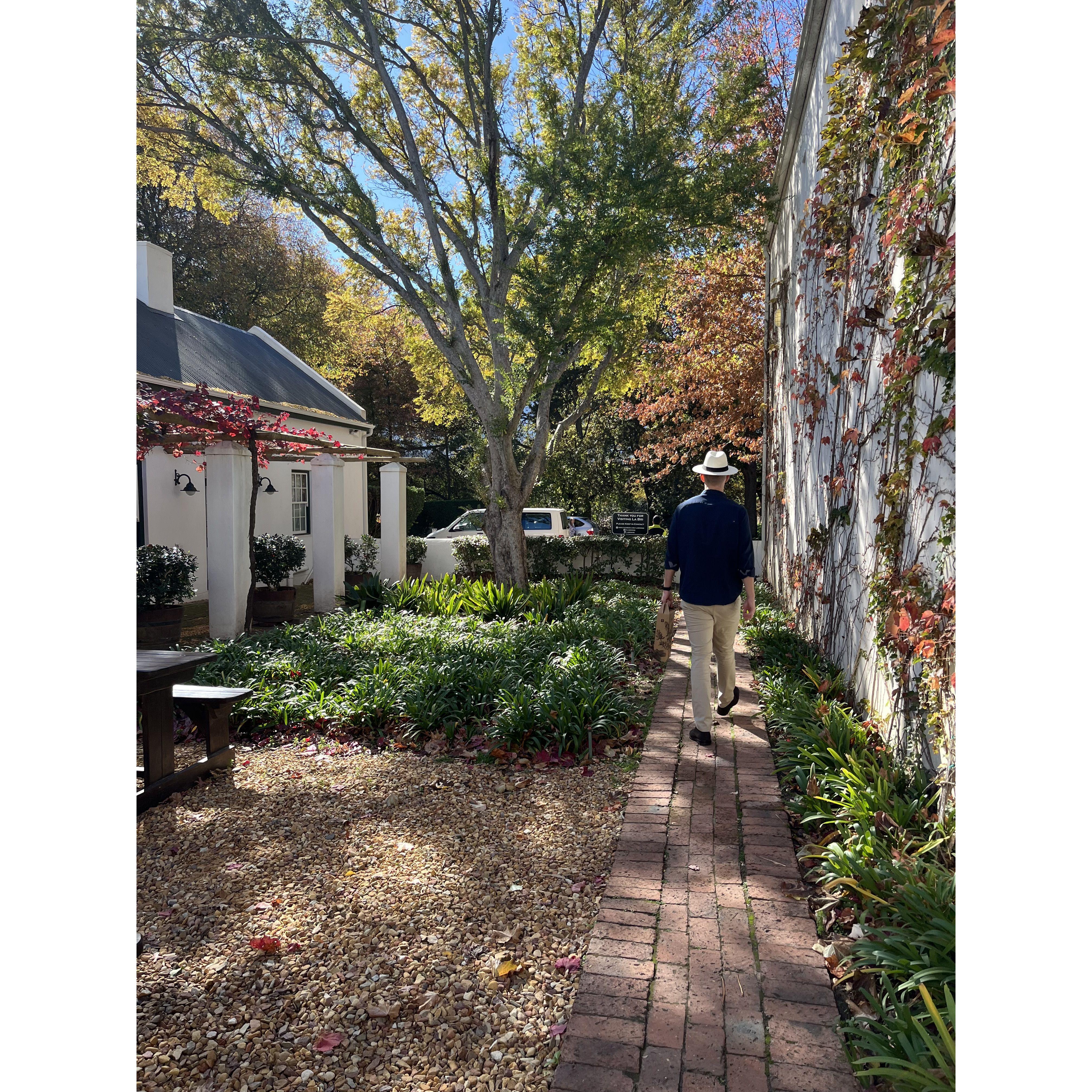 Autumn in South Africa, May 2024