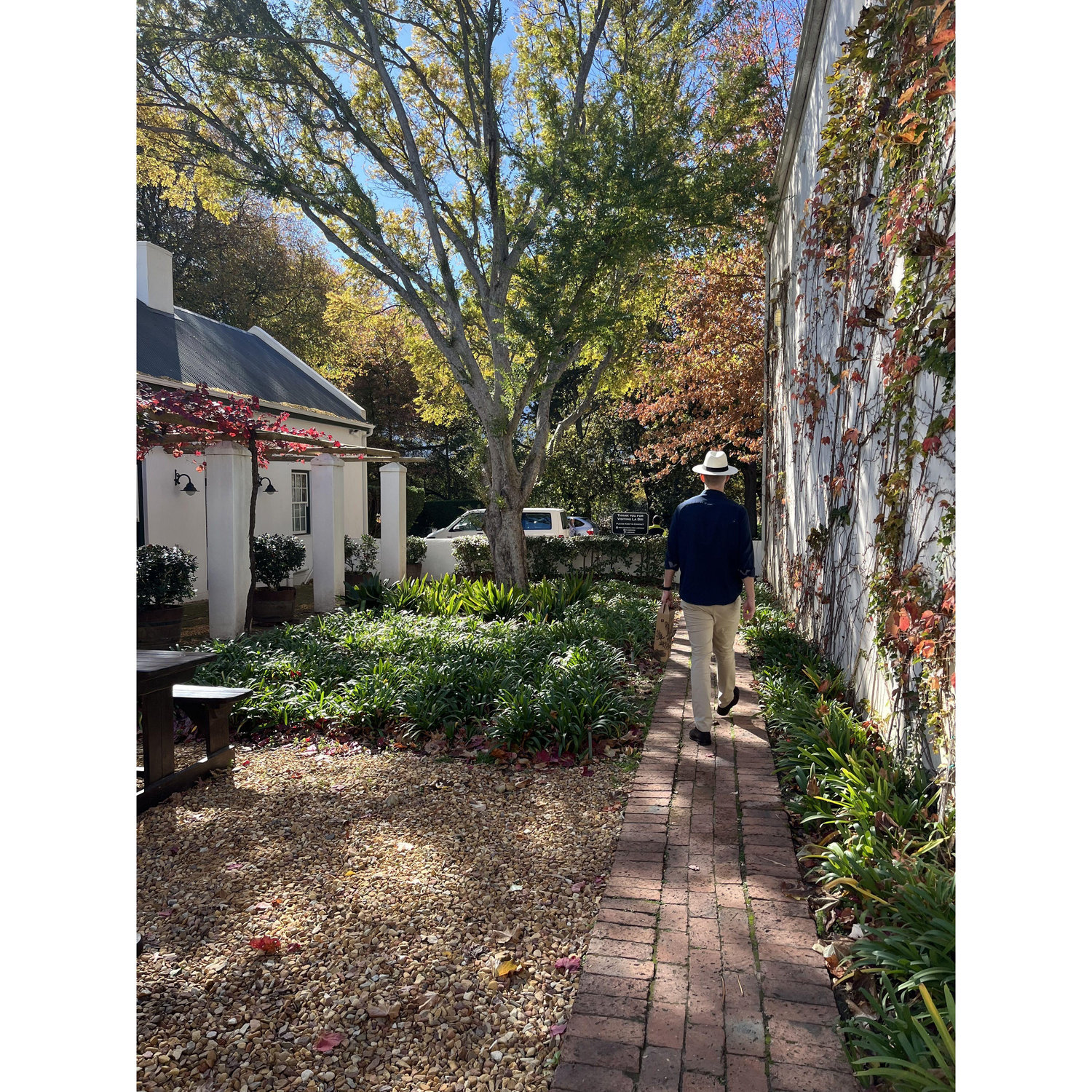 Autumn in South Africa, May 2024