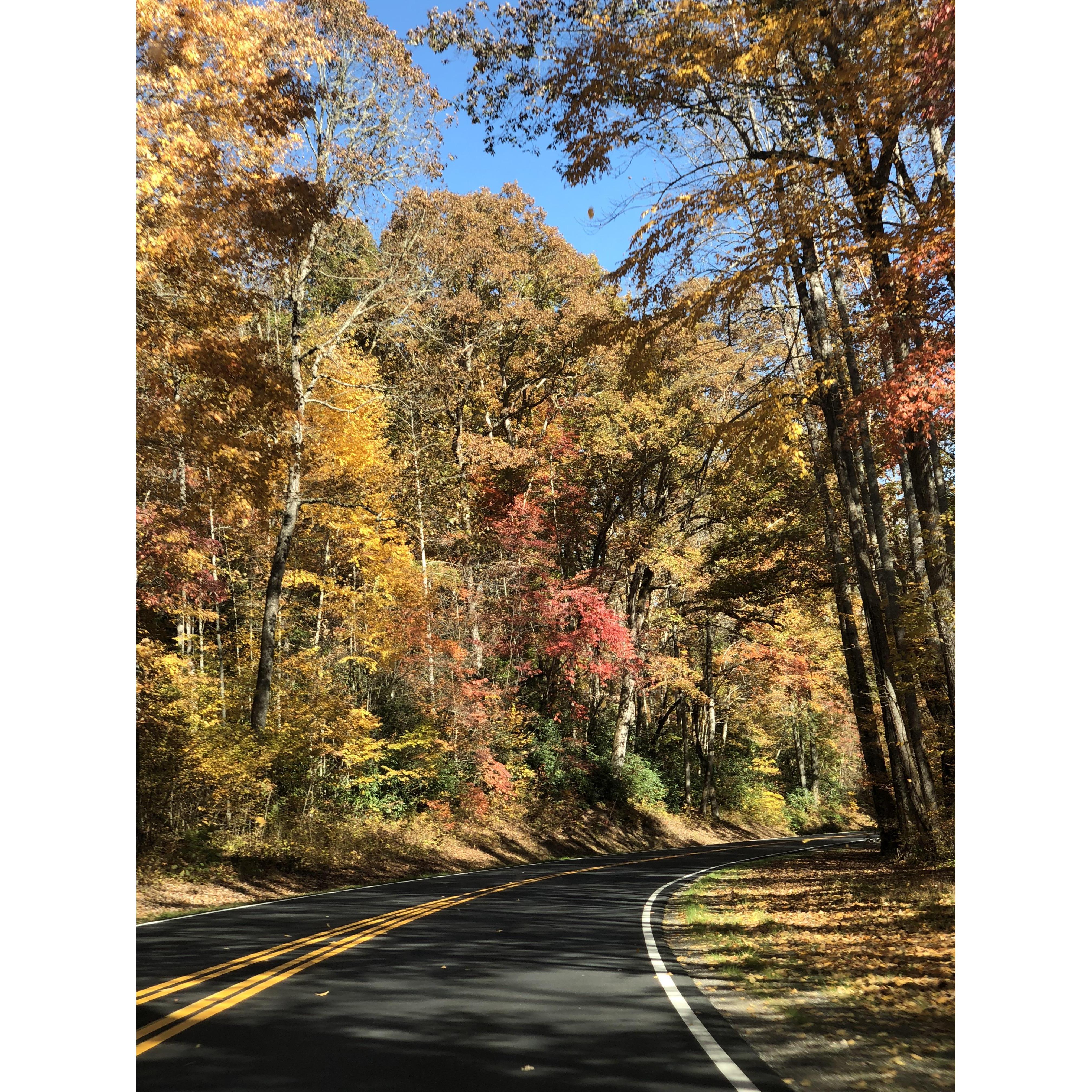 Great Smoky Mountains National Park, TN