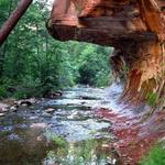 West Fork Trail Hike