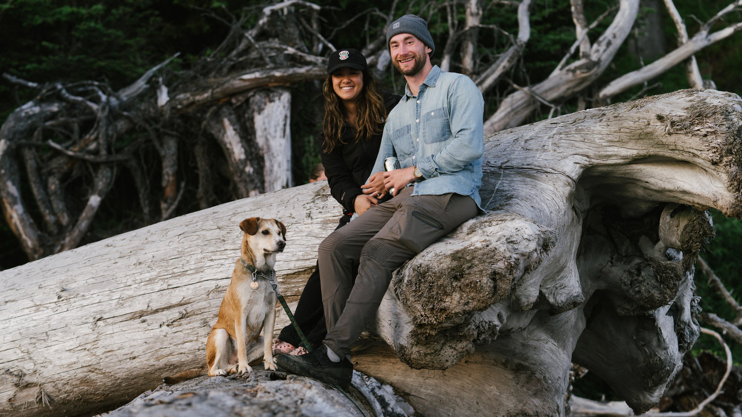 The Wedding Website of Catherine Tham and Tyler Malcomson