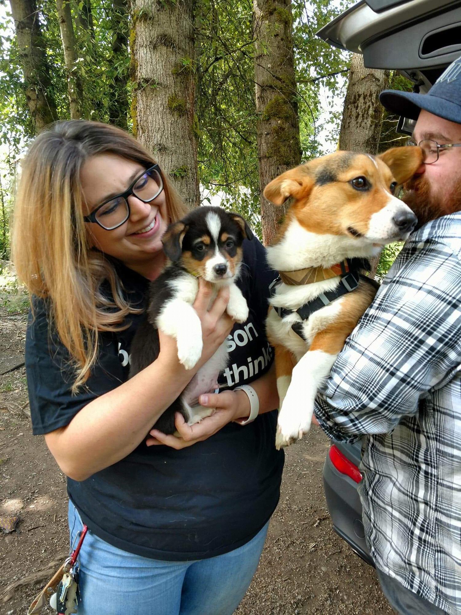 When we picked up Winston. :)