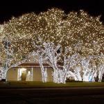 Christmas Lights at Pedernales Electric Cooperative
