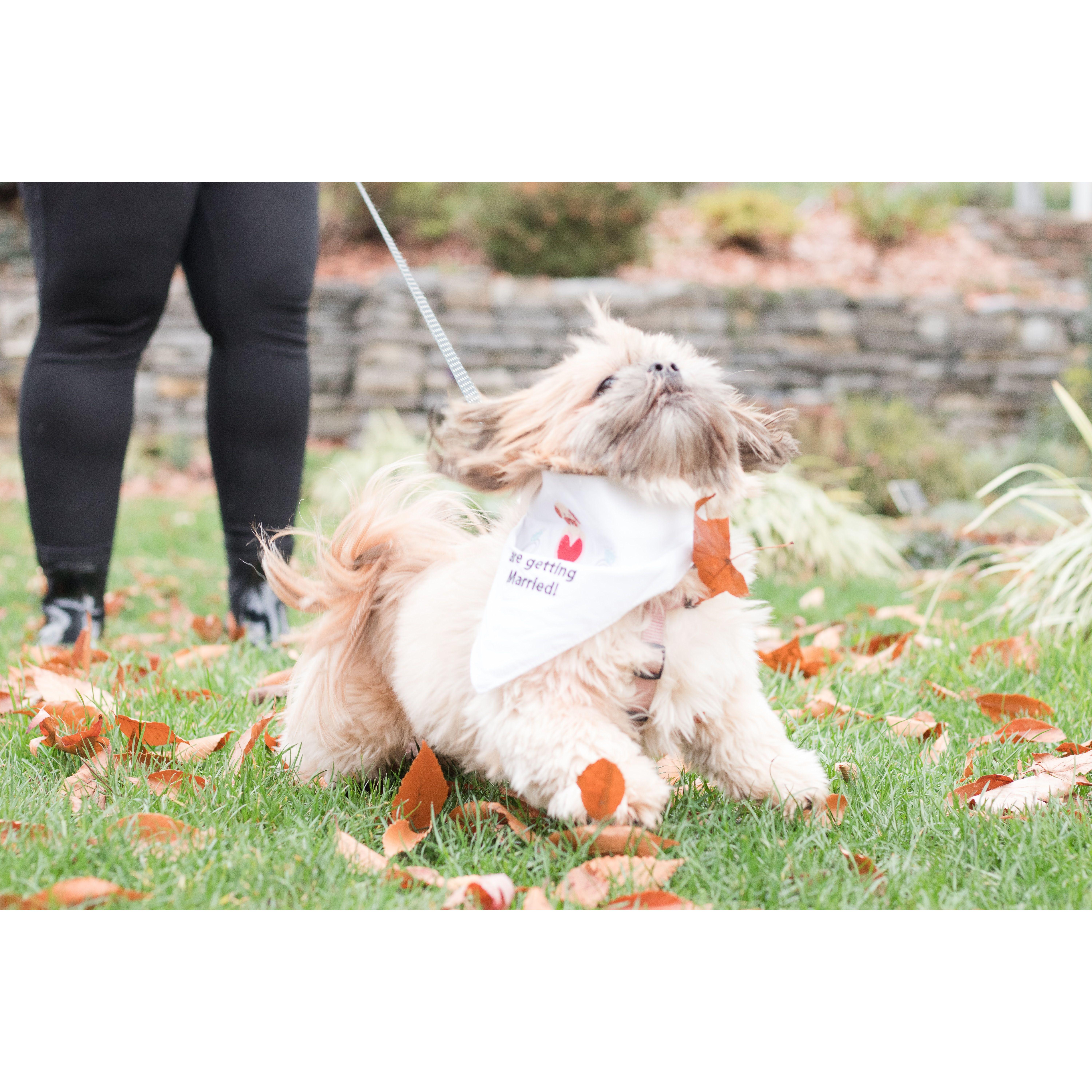 Naya had a lot of fun during our engagement shoot!