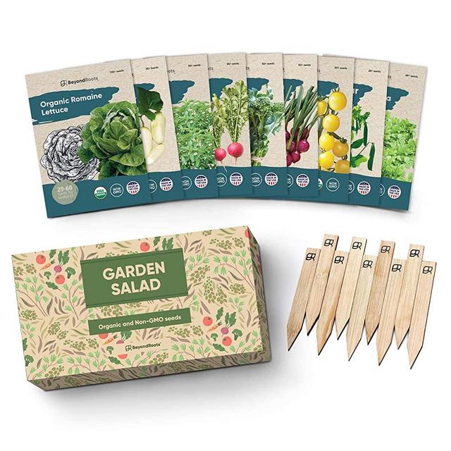 15 Culinary Herb Seed Vault - Heirloom and Non GMO - 4500 Plus Seeds for  Planting for Indoor or Outdoor Herbs Garden, Basil, Cilantro, Parsley
