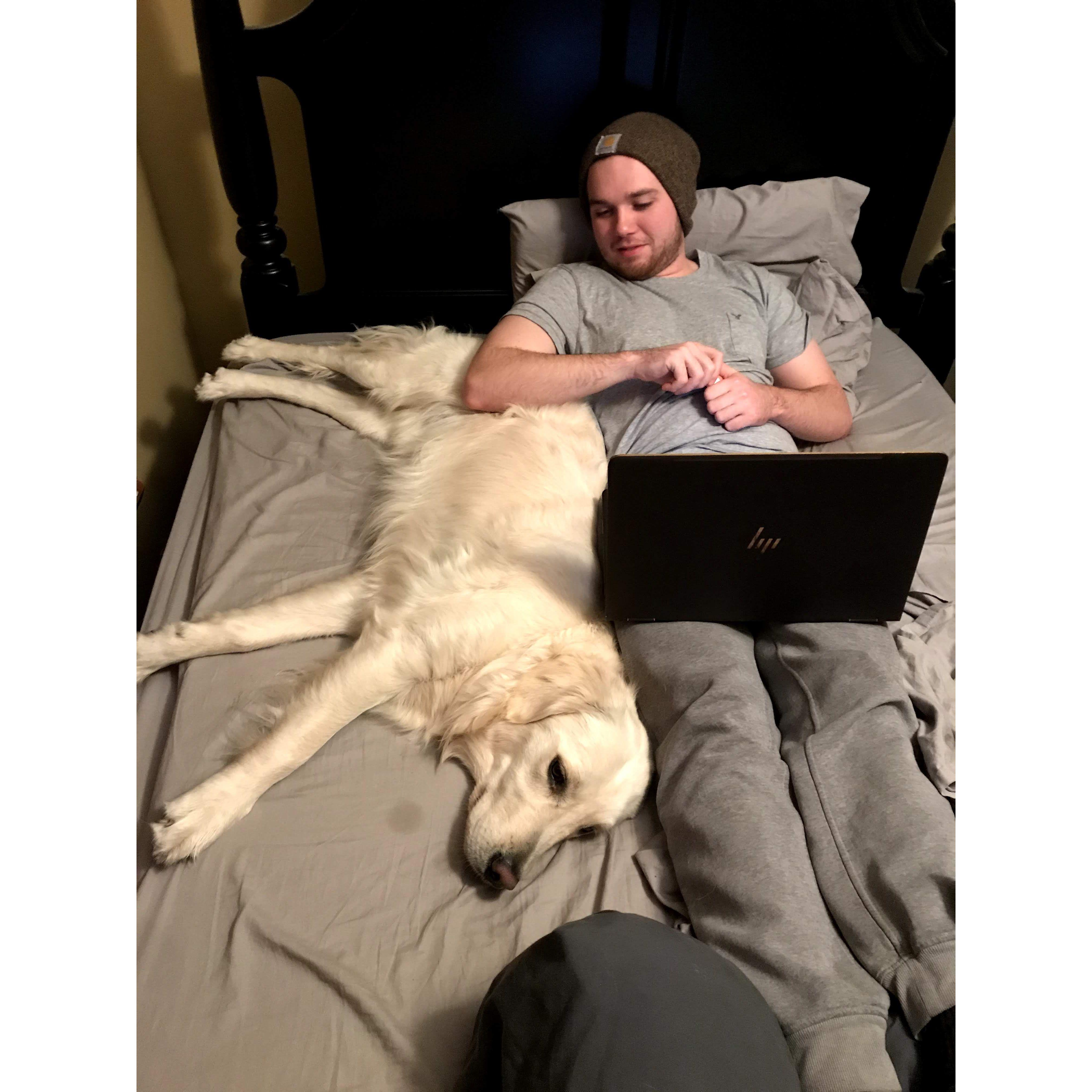 the dogs LOVE nick
