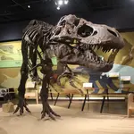 Cleveland Museum of Natural History