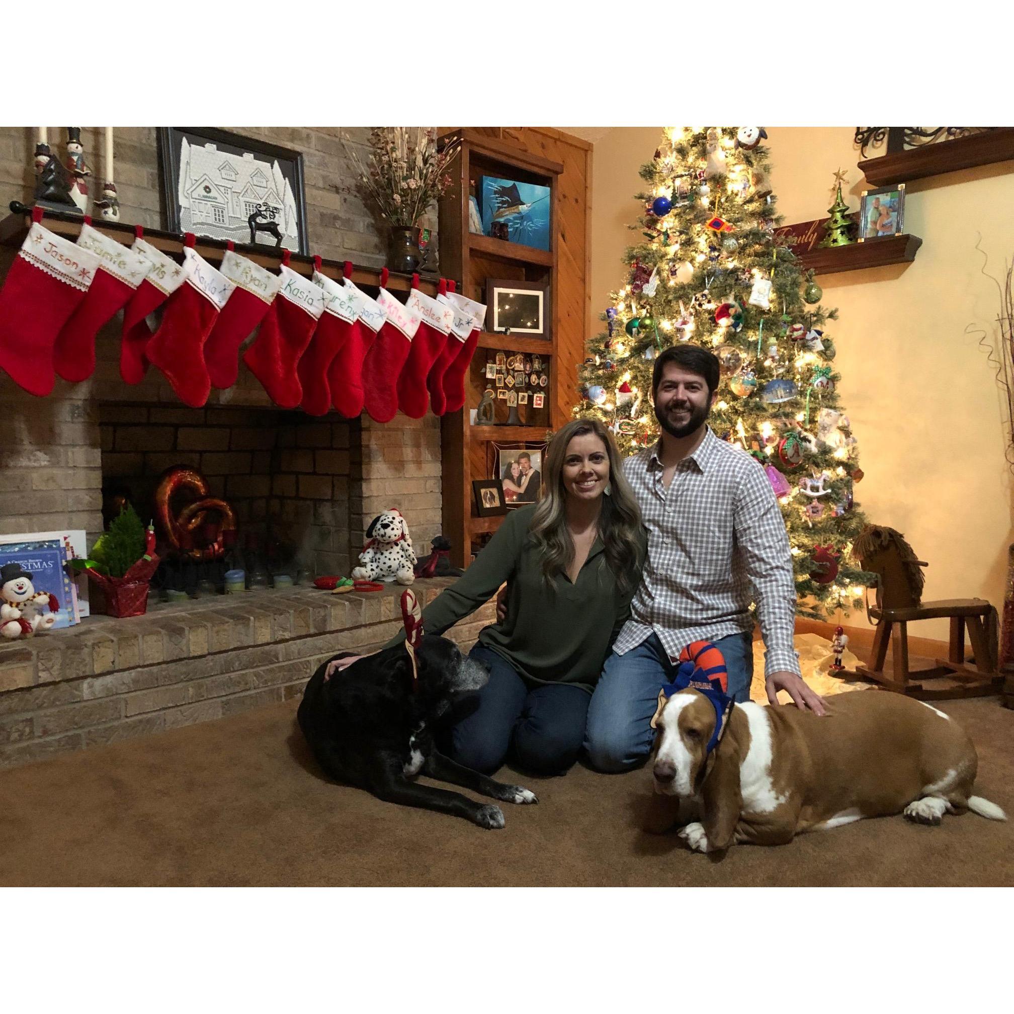 Christmas 2018. We sure miss our Mister Pistachio.