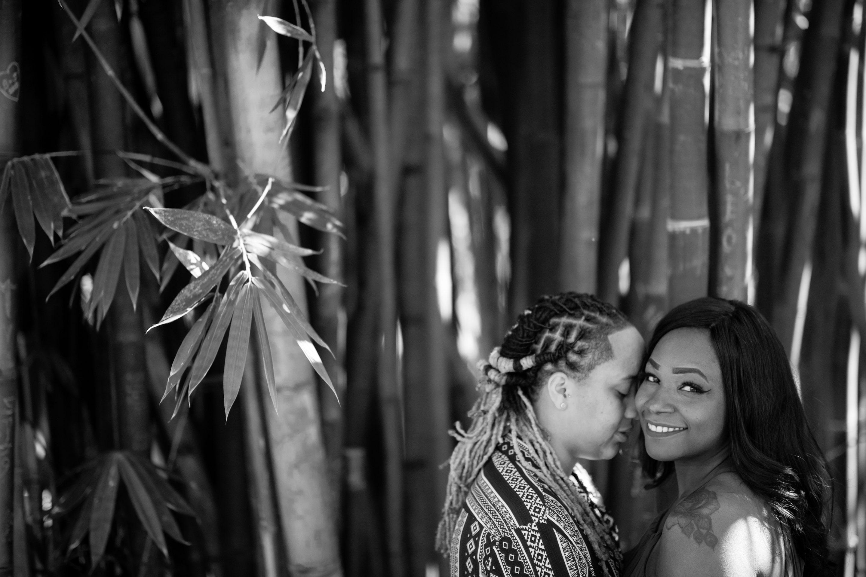 The Wedding Website of Akia Davis and Jessyca Brown