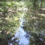 Battle of Carthage State Historic Site