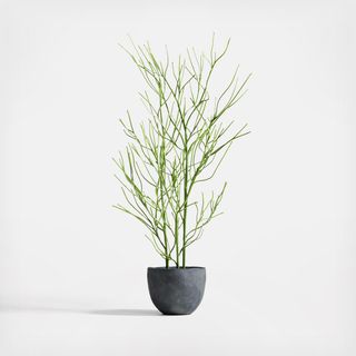 Potted Faux Pencil Cactus Tree