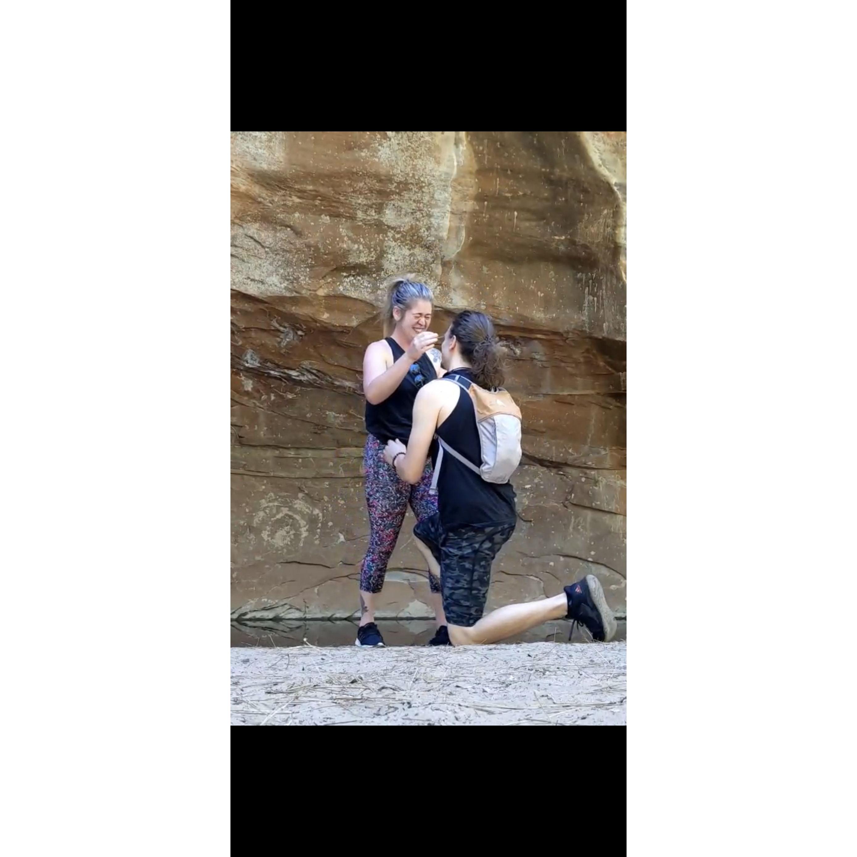The day Daniel had asked the question on our hike at Oak Creek!