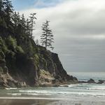Short Sand Beach, Oswald West State Park