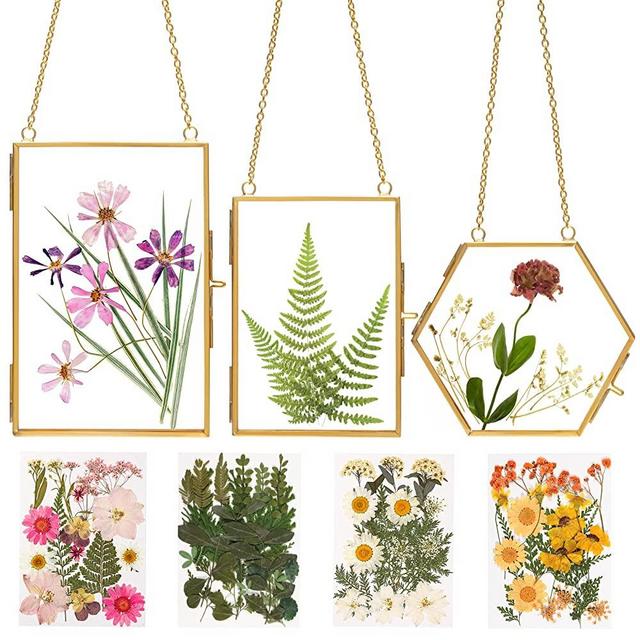 Double Glass Frame for Pressed Flowers - w/Real Dried Flowers and Tweezer - Pressed Flower Frames for Handicrafts, Pressed Flower, Photo, or Other Small Flat Items