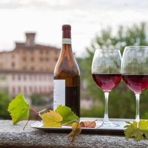 Winery Tour in Tuscany