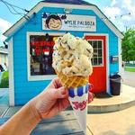 Wyliepalooza Ice Cream SoBro
