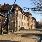 Auschwitz-Birkenau
