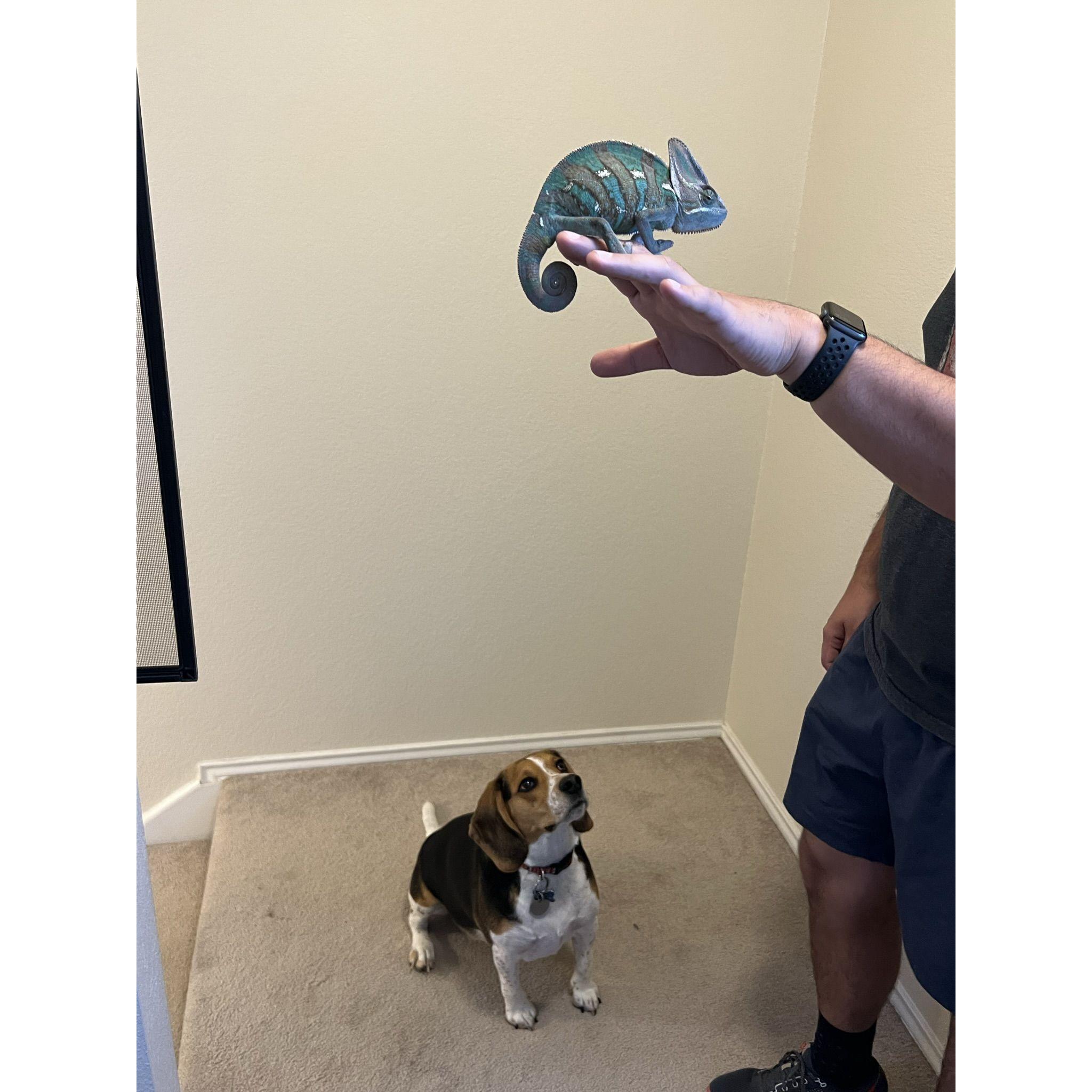 Winston ("Winnie")!