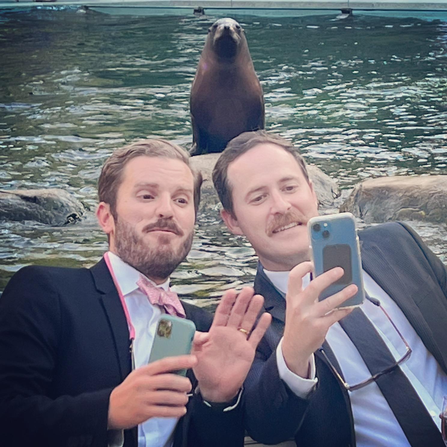 Snapping a sealfie at The Metelski Wedding in Central Park Zoo. Jan. 2022.