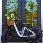 Temecula Wine Country E-Bikes
