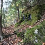 Ice Glen Trail