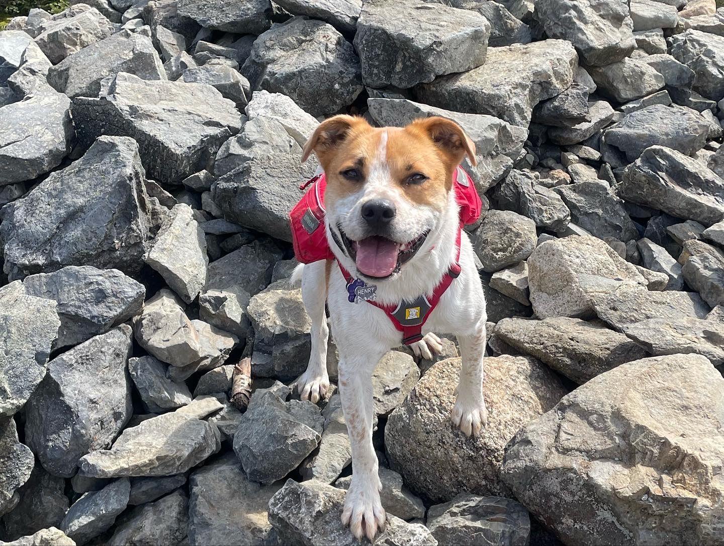 The Wedding Website of Leigh Lozano and Adam LaCasse