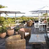 Citrus Club (Dewberry Rooftop)