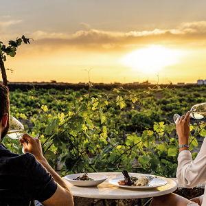 Wine & Dine in a Vineyard