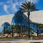The Dali Museum