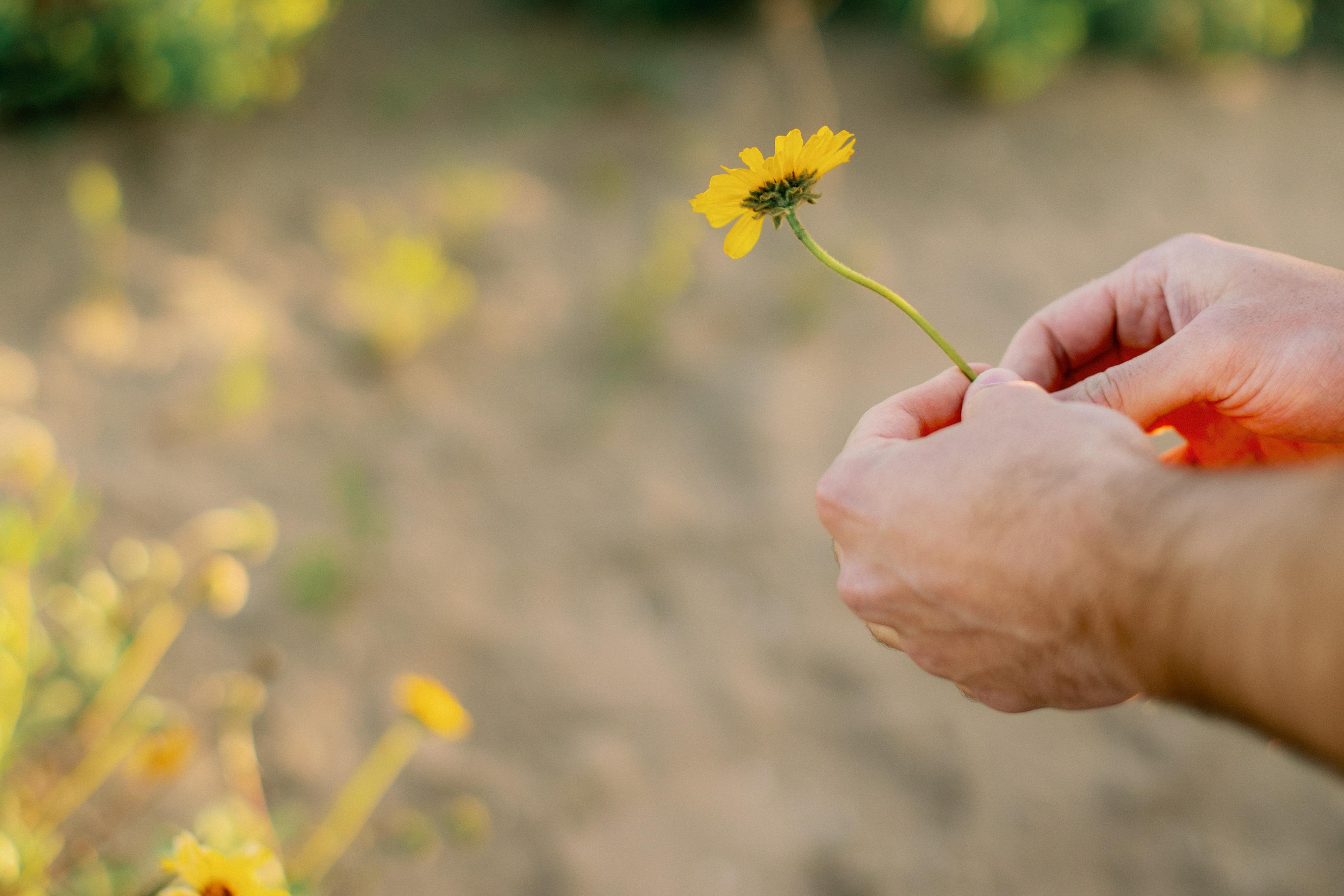 The Wedding Website of Jared Kitteringham and Georgia Cropper