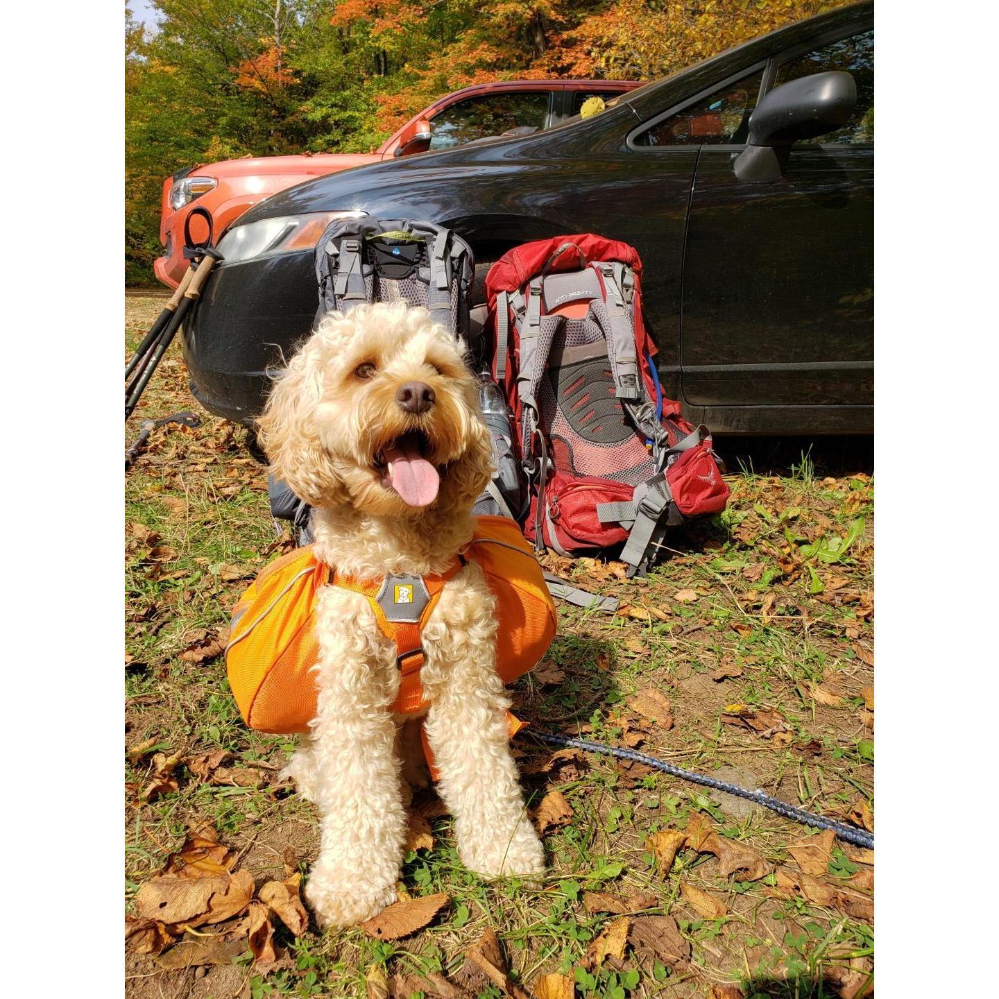 Jammies on the left, treats on the right. Saddle bags ready for adventure.
