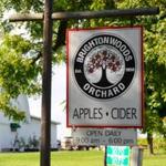 Brightonwoods Orchard