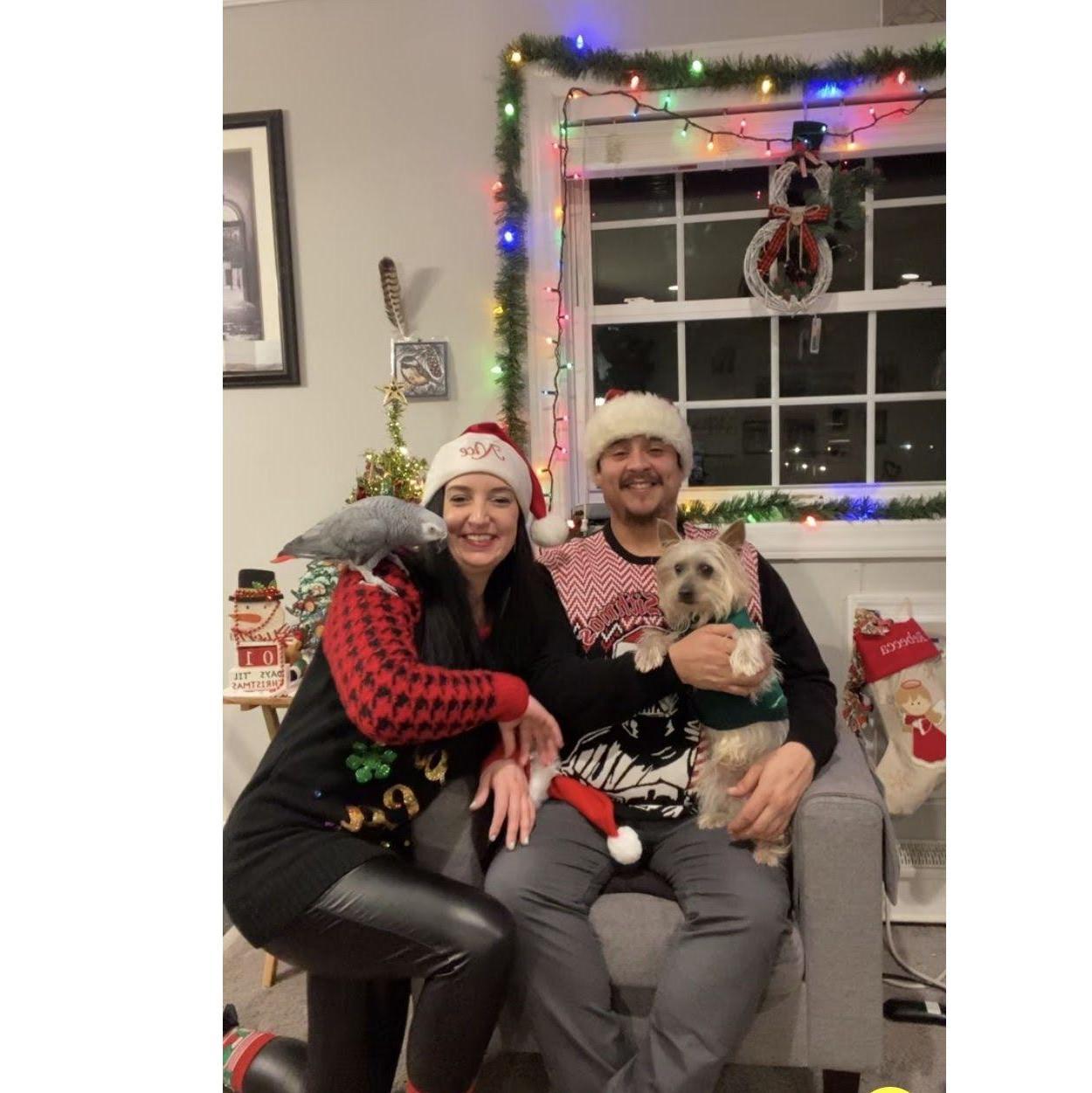Christmas Family Photo- NY 2022